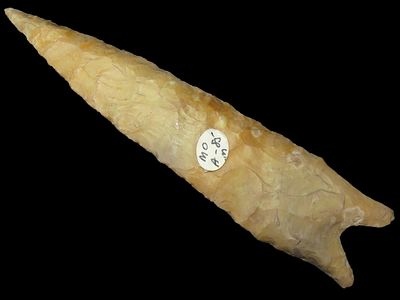 5 5/16" x 1 3/16" Dalton, Keele COA, Found in Missouri, Ex Walt McIntire Made of Creek Stained Chert
