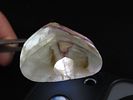 1 3/4" x 1 1/2" Colorful Fluorspar Bannerstone. Preble Co. Ohio. Ex Max Schumm, Ex Norm Dunn. Image - 1