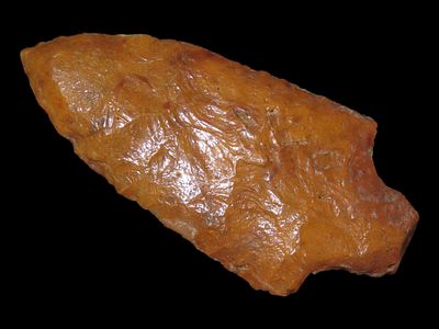 2 3/4" x 1 1/4" Marion, Dickey COA, Found in Central Florida, Ex Gary Mumaw, Made of Stained 