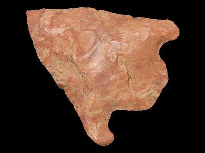 1 3/8” Eva, Giles Co., Tennessee, Ex. Walt McIntire