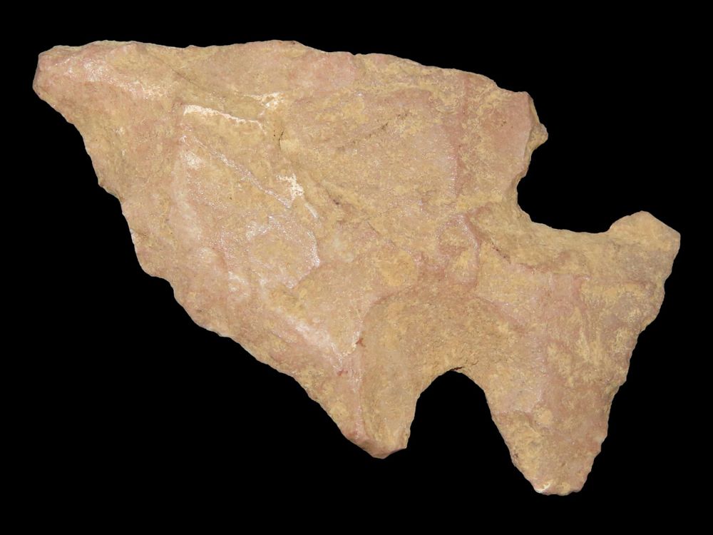 2” Bakers Creek, Decatur Co., Tennessee, Ex. Walt McIntire
