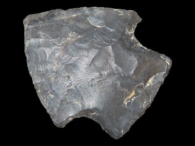 1 3/4” Bakers Creek, Decatur Co., Tennessee, Ex. Walt McIntire