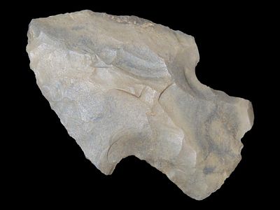 2” Bakers Creek, Humphreys Co., Tennessee, Ex. Walt McIntire