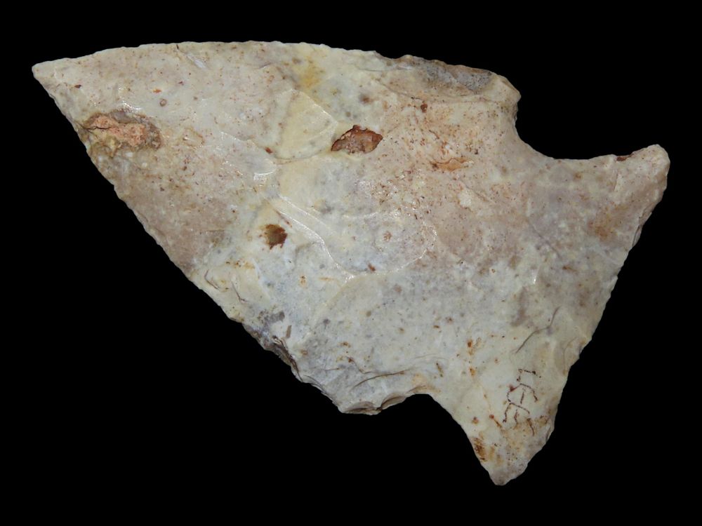 2” Kirk, Daviess Co., Kentucky, Ex. Walt McIntire