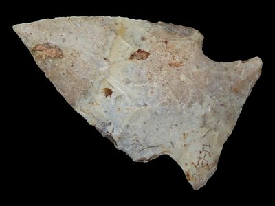 2” Kirk, Daviess Co., Kentucky, Ex. Walt McIntire
