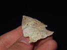2” Kirk, Daviess Co., Kentucky, Ex. Walt McIntireImage - 3