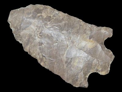 2 1/4” Eva, Giles Co., Tennessee, Ex. Walt McIntire