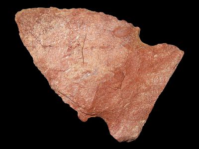 1 1/2” Big Sandy, Daviess Co., Kentucky