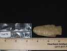 2 3/4” Hardin Blunt, Colorful Striped Chert, Missouri, Ex. Nick GatsesImage - 6