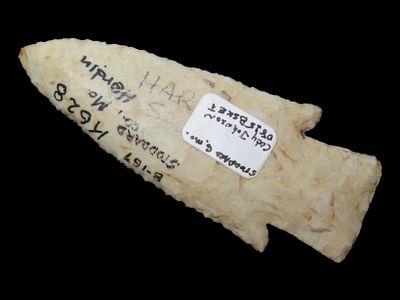 3 1/2” x 1 3/8” Hardin, Burlington Chert, Stoddard Co., Missouri, Dickey COA