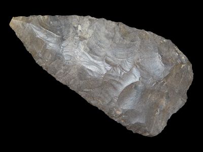 4 1/8” x 2 1/8” Archaic Knife, Dover, West Tennessee, Davis COA