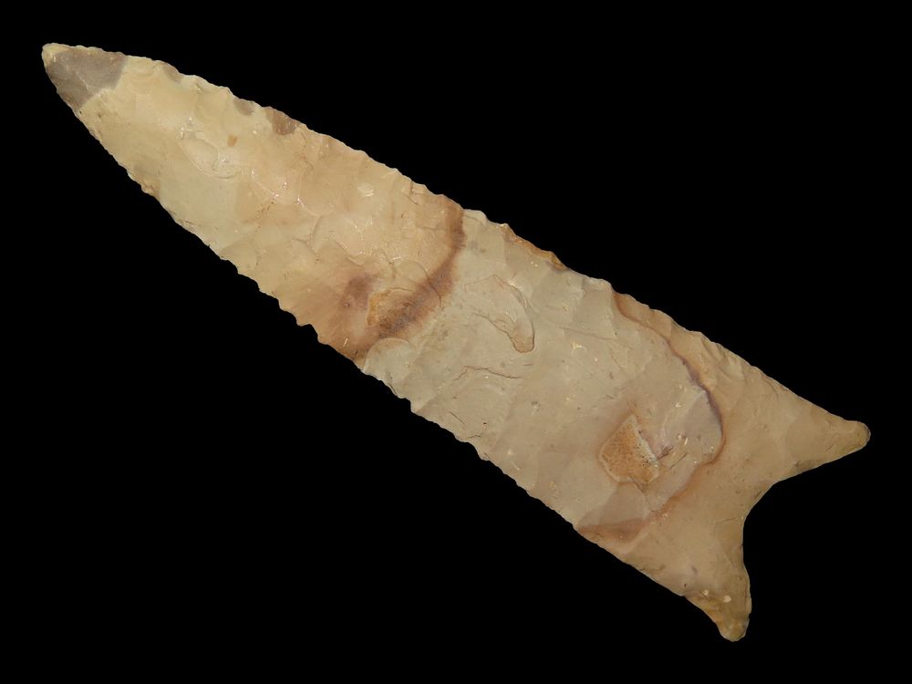 4” Dalton, Chert, Henry Co., Missouri