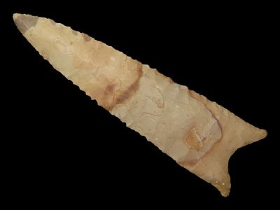 4” Dalton, Chert, Henry Co., Missouri