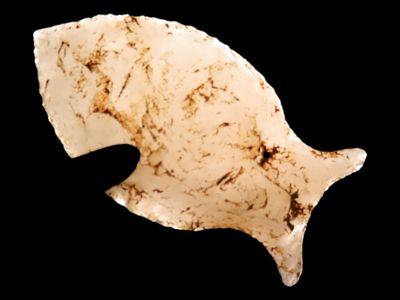 1 7/16” Paleo Point, North Carolina