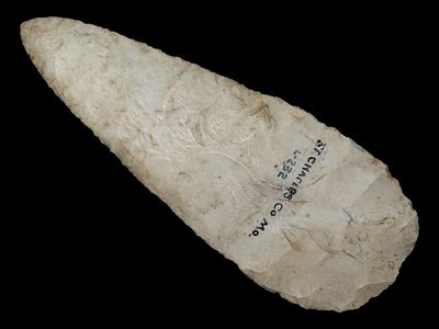 5 1/2” x 2” Stanfield, Burlington Chert, St. Charles Co., Missouri, Motley & Leithoff COA