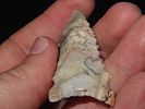 2 7/16” x 1” Graham Cave, Mozarkite Chert, Benton Co., Missouri, Keele COAImage - 4