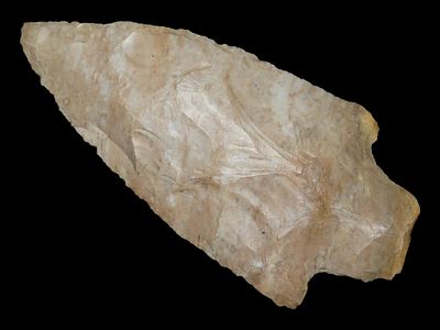 3 3/4” x 1 3/4” Pickwick, Fort Payne Chert, Tennessee, Davis COA