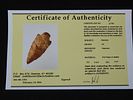 3 3/4” x 1 3/4” Pickwick, Fort Payne Chert, Tennessee, Davis COAImage - 11