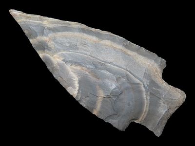 2 15/16” x 1 1/4” Delhi, Mozarkite Chert, Cooper Co., Missouri, Keele COA