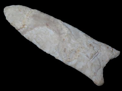 2 3/4” x 1” Beaver Lake, Burlington Chert, Davis COA, IAGA COA