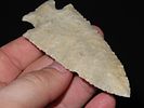 3 11/16” x 1 9/16” Hardin, Burlington Chert, Pike Co., Illinois, Motley & Leithoff COAImage - 10