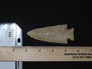 3 11/16” x 1 9/16” Hardin, Burlington Chert, Pike Co., Illinois, Motley & Leithoff COAImage - 12