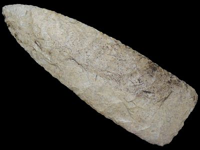 4 3/8” x 1 3/8” Stanfield, Creek Stained Burlington Chert, Milan, Missouri, Keele COA