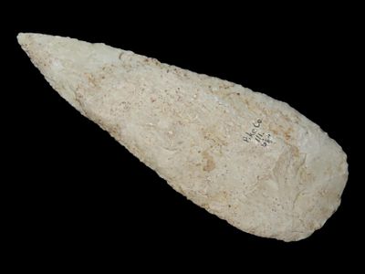 6 1/8” x 2 3/16” Stanfield, Burlington Chert, Pike Co., Illinois, Motley & Leithoff COA