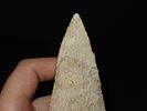 6 1/8” x 2 3/16” Stanfield, Burlington Chert, Pike Co., Illinois, Motley & Leithoff COAImage - 5