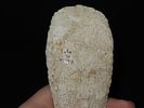 6 1/8” x 2 3/16” Stanfield, Burlington Chert, Pike Co., Illinois, Motley & Leithoff COAImage - 8