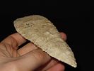 6 1/8” x 2 3/16” Stanfield, Burlington Chert, Pike Co., Illinois, Motley & Leithoff COAImage - 9