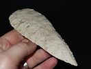 6 1/8” x 2 3/16” Stanfield, Burlington Chert, Pike Co., Illinois, Motley & Leithoff COAImage - 10