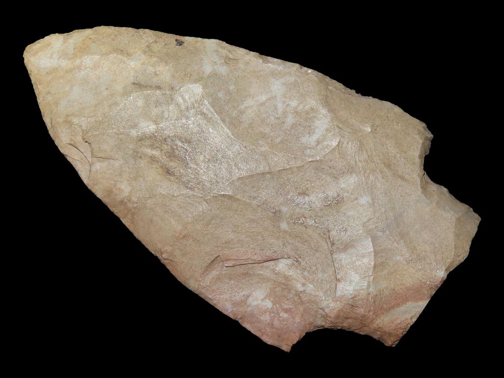 2 13/16” x 1 9/16” Adena, Fort Payne Chert, Kentucky, Davis COA