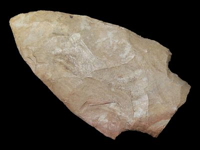 2 13/16” x 1 9/16” Adena, Fort Payne Chert, Kentucky, Davis COA