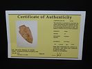 2 13/16” x 1 9/16” Adena, Fort Payne Chert, Kentucky, Davis COAImage - 11