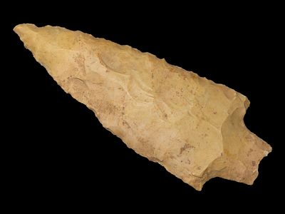 3 1/2” x 1 5/16” Adena Narrow Stem, Fort Payne Chert, East Tennessee, Davis COA
