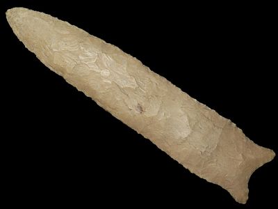 6 1/4” x 1 3/8” Dalton, Burlington Chert, Illinois, Dickey COA, Motley / Leithoff COA