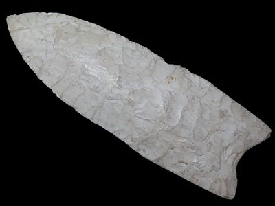 2 15/16” x 1” Upper Valley Dalton, Burlington Chert, Northern Illinois or Wisconsin, Dickey COA