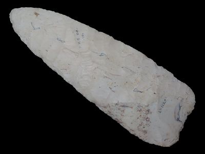 6 1/4” x 2 1/8” Stanfield, Burlington Chert, Pike Co., Missouri, Motley & Leithoff COA