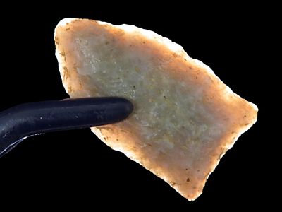 1 5/16” x 3/4” Paleo Dart, Chalcedony, Tennessee, Davis COA