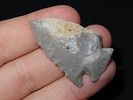 11/16” x 1 1/16” Pinetree, Hornstone, Kentucky, Davis COAImage - 1