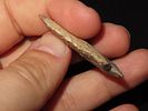 11/16” x 1 1/16” Pinetree, Hornstone, Kentucky, Davis COAImage - 2