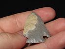 11/16” x 1 1/16” Pinetree, Hornstone, Kentucky, Davis COAImage - 3