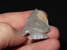 11/16” x 1 1/16” Pinetree, Hornstone, Kentucky, Davis COAImage - 4