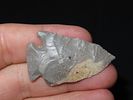 11/16” x 1 1/16” Pinetree, Hornstone, Kentucky, Davis COAImage - 5