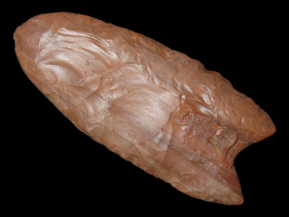 2 5/8” x 1 1/4” Clovis, Petrified Wood, Alaska, Motley & Leithoff COA