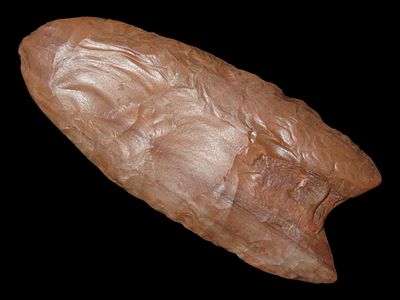 2 5/8” x 1 1/4” Clovis, Petrified Wood, Alaska, Motley & Leithoff COA