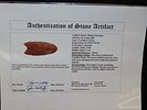 2 5/8” x 1 1/4” Clovis, Petrified Wood, Alaska, Motley & Leithoff COAImage - 9