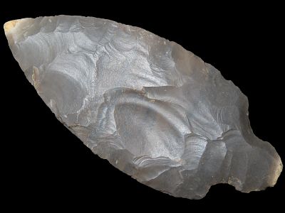 2 3/4” x 1 3/16” Turkeytail, Hornstone, Indiana, Davis COA