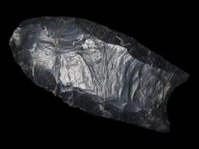 2 5/8” x 1 1/4” Clovis, Coshocton Chert, Wood Co., Ohio, Motley & Leithoff COA